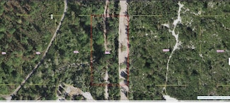 0 Holopaw Groves Rd Unit MFRO6235823, Saint Cloud, FL 34773