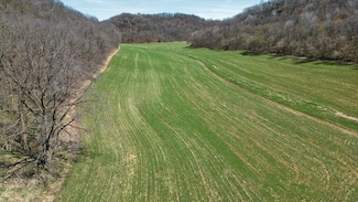S11897A Williams Rd, Troy, WI 53588