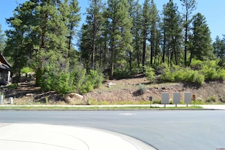 1000 Twin Buttes Ave, Durango, CO 81301