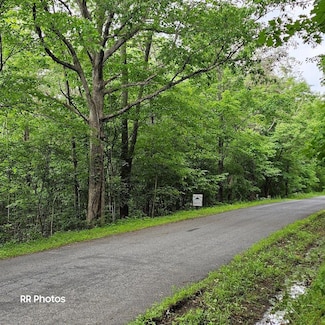 0 Backbone Rd, Penn Township, PA 16647