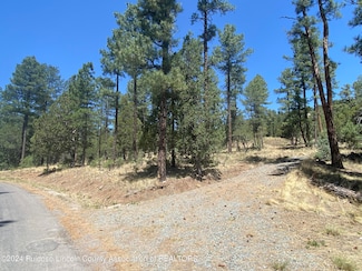 160 Deer Creek Rd Unit 2, Ruidoso, NM 88345