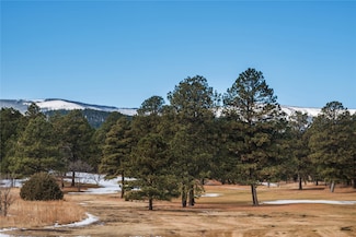 Lot 94 Camino Facil, Rociada, NM 87544