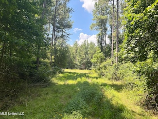 0 George Warren Rd, Brandon, MS 39042