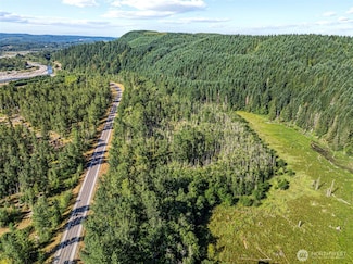 0 NKA Spirit Lake Hwy, Toutle, WA 98649