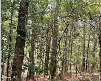 0 West Blvd, West, MS 39192