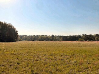 0 Old Smoak House Rd Unit 21009118, Meggett, SC 29449