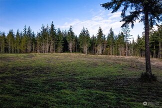 0 Larson Ln NW Unit NWM2313156, Seabeck, WA 98380