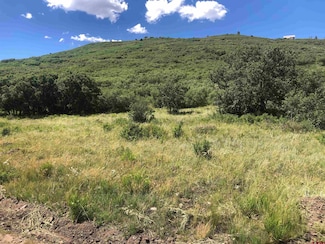 Lot 61 Road H 4, Dolores, CO 81325