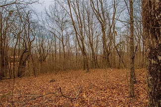 0 Long Mountain Rd Unit 7541307, Cleveland, GA 30528