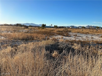 1460 S Old Ave W, Pahrump, NV 89048