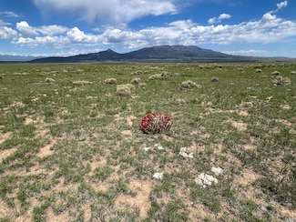 11 Tioga Ranch, Walsenburg, CO 81089