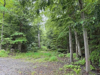540-X9B Route 114, Henniker, NH 03242