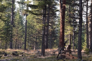 Nhn U S Highway 2 W, Marion, MT 59925