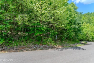 518 Mystic Star Dr, New Tazewell, TN 37825