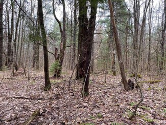 0 Anderson Rd Unit 202117339, Sprakers, NY 12166