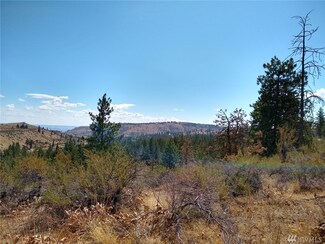 2 Nna Lower Hooker Creek Rd, Brewster, WA 98812