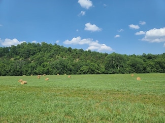 lot 54 Joe Baker Rd, Batesville, AR 72501