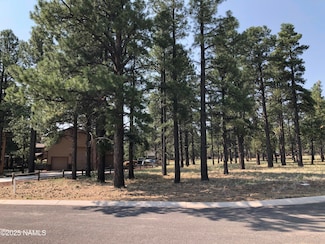 3223 W Stoney Brook, Williams, AZ 86046