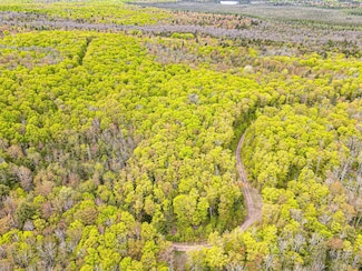 ON Forest Rd 8300, Marenisco, MI 49947