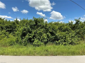 3105 Tena Ave S, Lehigh Acres, FL 33976