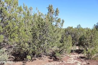 56 & 58 3193, Vernon, AZ 85940