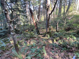 2861 Aiston Creek Rd, Lummi Island, WA 98262