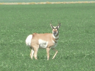 0 Millican Rd Unit 5007346, Christmas Valley, OR 97641