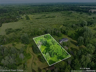 #0078 V L Natures Nest Rd, Vassar, MI 48768