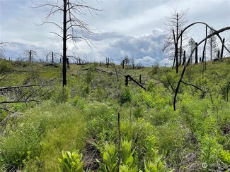 0 TBD Jacktar Rd, Riverside, WA 98849