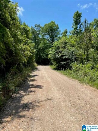 0 Reed Creek Dr, Shelby, AL 35143