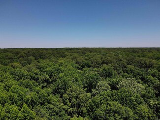 TBD Lee Road 229, La Grange, AR 72360