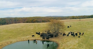 000 County Road 194, Richland Township, MO 65637