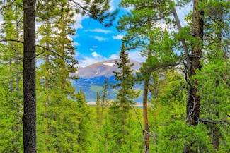 TBD Dry Gulch Rd, Fairplay, CO 80440