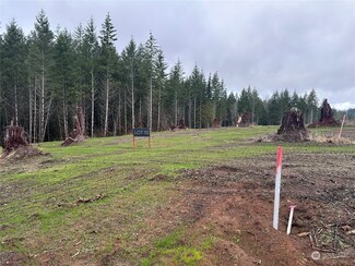 252 Ash Mountain Dr, Castle Rock, WA 98611