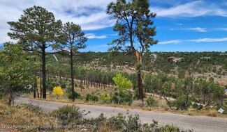 63 El Camino Dr, Alto, NM 88312