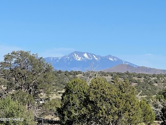8801 S Rim Ranch Rd, Valle, AZ 86046