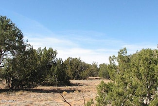tbd Squaw Tank Vista Dr, Heber, AZ 85928