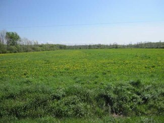 V/L Bulmore Rd, Royalton, NY 14105