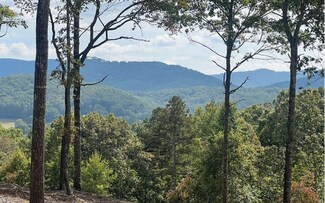 163 Ridges of Blue Ridge, Morganton, GA 30560