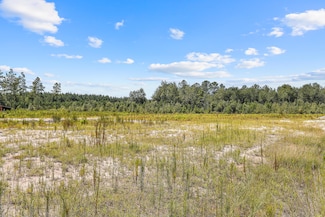 0 Mudville Rd, Cross, SC 29436