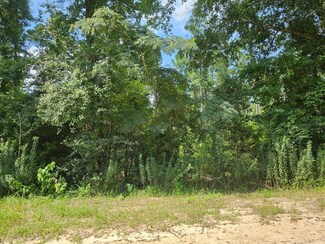 1 Trailer Rd, Hartford, AL 36344