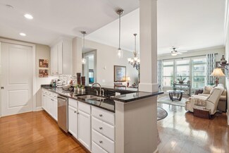 145 Pier View St Unit 316, Daniel Island, SC 29492