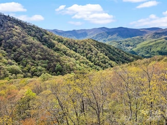 Lot G-50 Odalu Trail Unit G-50, Waynesville, NC 28751