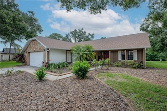 1617 Dawnridge Ct, Brandon, FL 33510