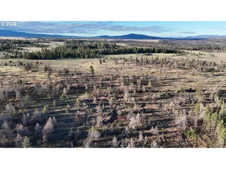 0 Sycan Marsh Lot 2 Unit 20671604, Paisley, OR 97636