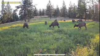 2434 Morning Dun Road - Lot 2 Rd, Missoula, MT 59804