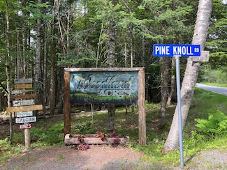 Lot #20 Pine Knoll Rd, Bowerbank, ME 04426