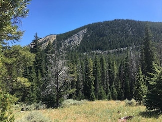 216 Trapper Creek Rd, Dillon, MT 59725