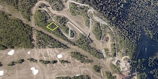 11 Horseshoe Ln Unit 11, Mountain Village, CO 81435