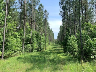 . Athens Trail Ne Timberlane Rd NE, Wesson, MS 39191